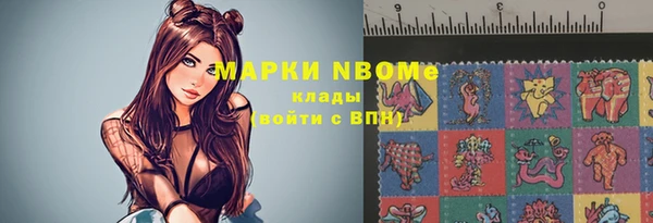 прущие грибы Медногорск