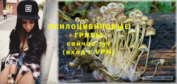 гидра Майский