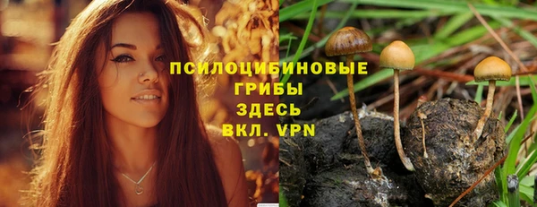 спиды Домодедово