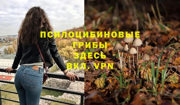 МДМА Медвежьегорск