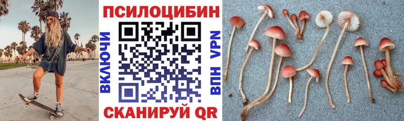 Псилоцибиновые грибы мицелий  hydra зеркало  Алзамай 
